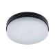 Evodisc Pro Mini schwarz - 450/720/900 Lumen